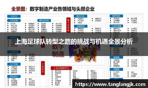 上海足球队转型之路的挑战与机遇全景分析