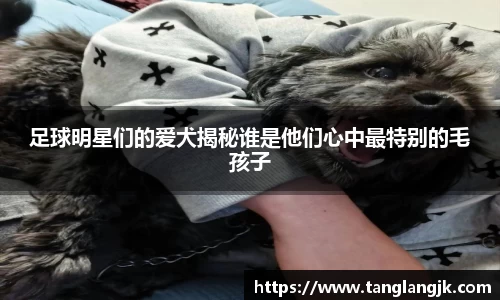 足球明星们的爱犬揭秘谁是他们心中最特别的毛孩子
